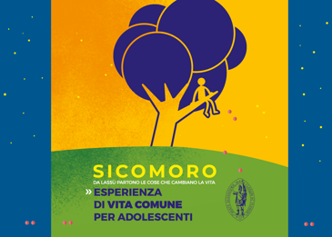 Sicomoro: la proposta per il 2026/2027